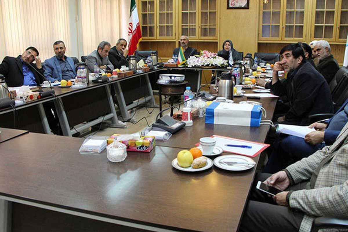 شورای راهبردی آموزش زبان فارسی در پاکستان تشکیل جلسه داد