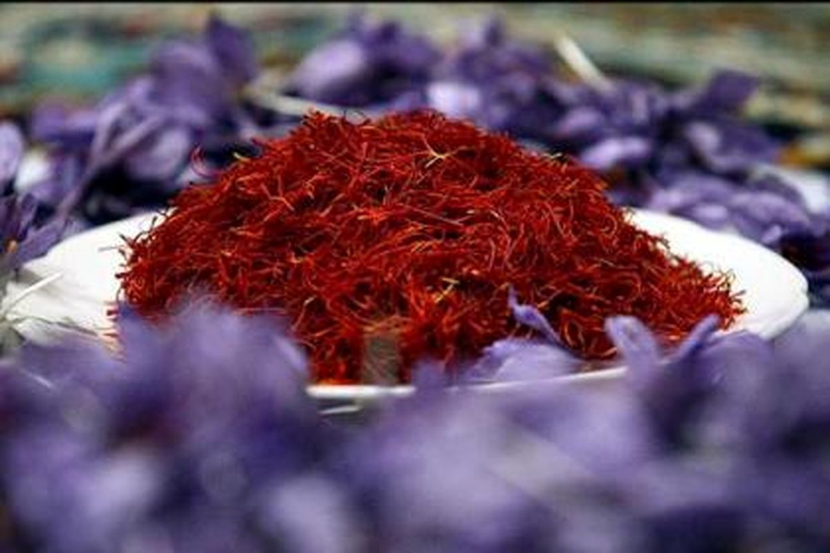خرید حمایتی ۶۷ تن زعفران از کشاورزان/ جایگاه صادراتی ایران با عرضه «طلای سرخ» در بورس بین‌المللی ارتقا می‌یابد