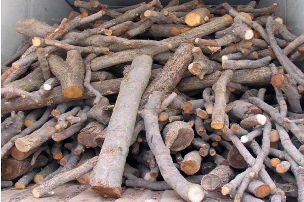 کشف ۴تن چوب قاچاق در شهرستان رودبار