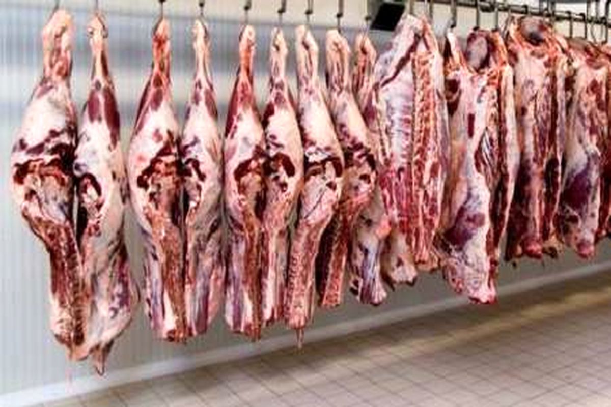 وارد شدن۵۶۰ تن گوشت تازه گوسفندی از فرودگاه پیام البرز به کشور