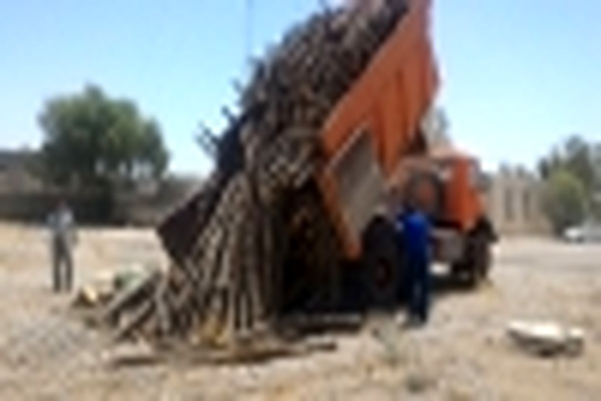 ۱۰ تن چوب درخت گز در شهرستان حاجی آباد توقیف شد