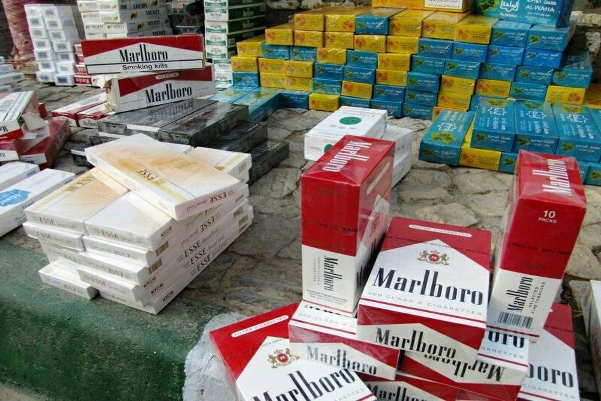 کشف بیش از ۳۰ هزار نخ سیگار قاچاق در ملارد