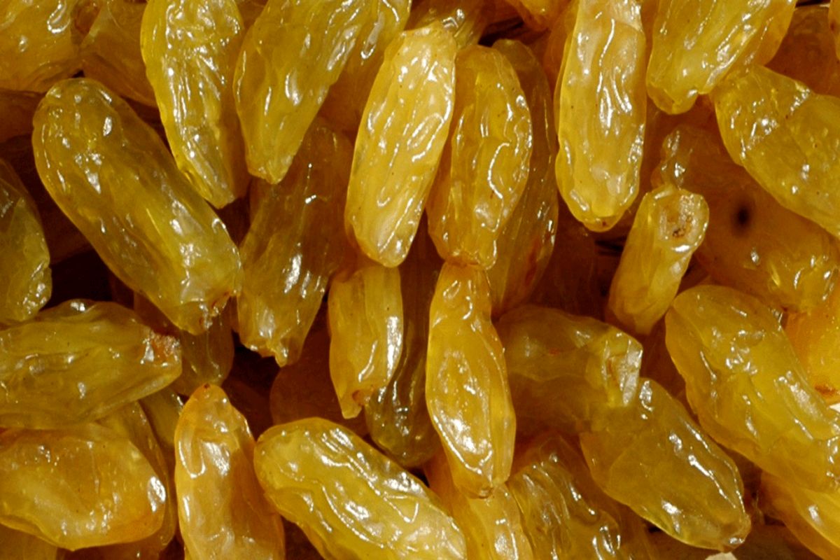 پرداخت ۳۴ درصدی یارانه کشمش تاک داران خراسان شمالی در مرحله اول