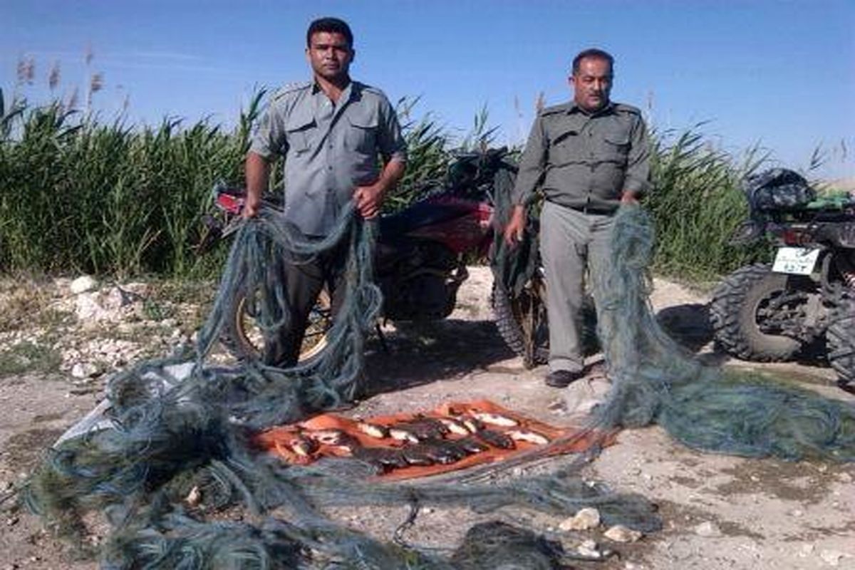 ۴۰۰ مترتور ماهیگیری از تالاب سولدوز نقده جمع آوری شد