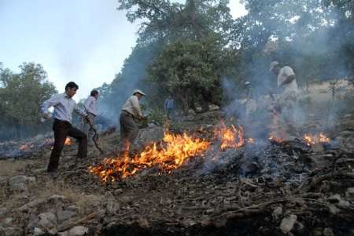 جنگل های مختار یاسوج دچار آتش سوزی شد