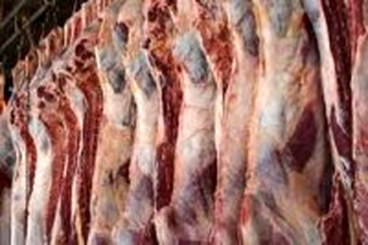 توزیع روزانه ۲تن گوشت قرمز در بازار کهگیلویه