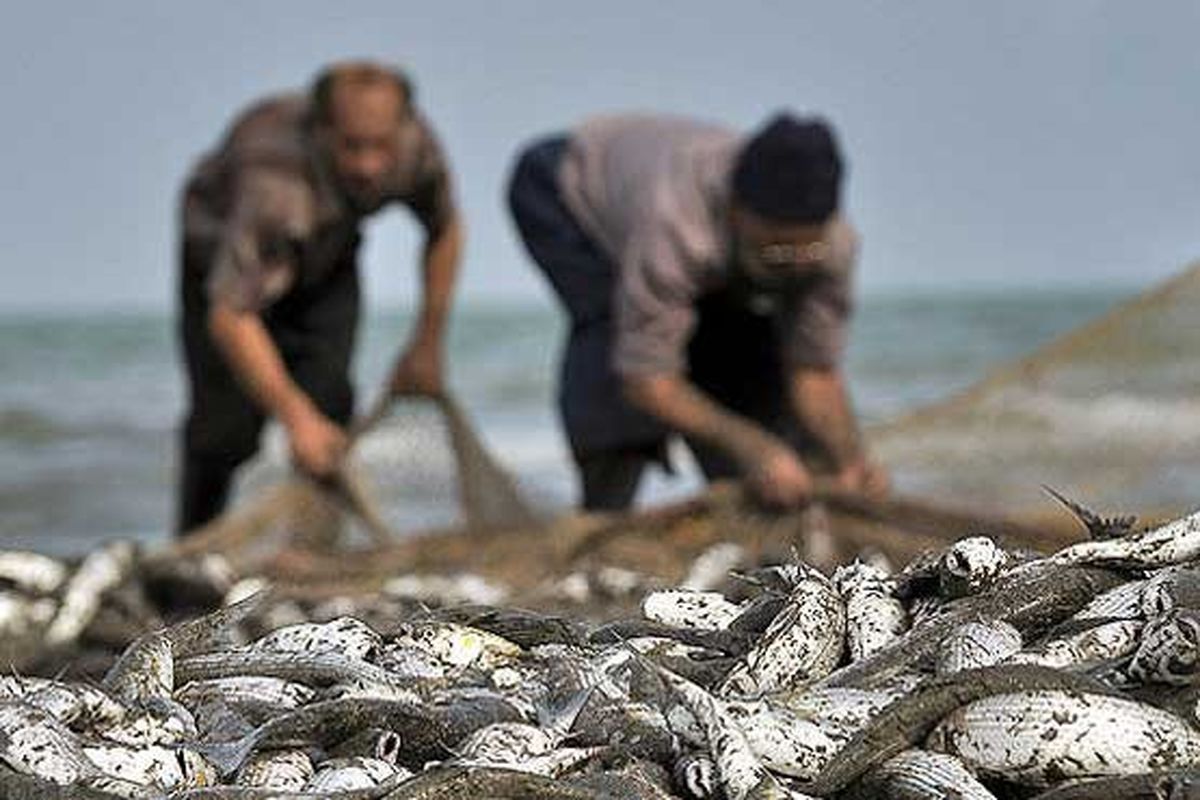 دستگیری یک نفر متخلف صید غیر مجاز ماهی در پارک ملی دز