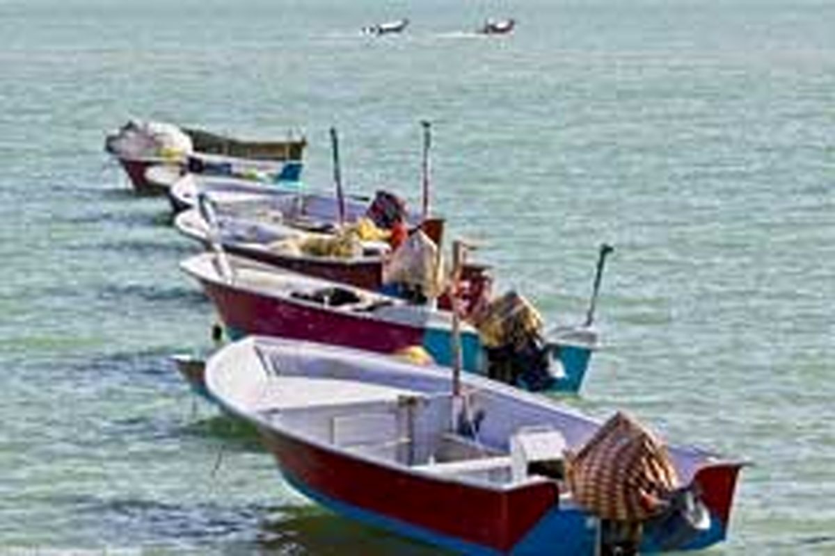 تعیین تکلیف پرورش ماهی های فاقد مجوز کج دار مریض باقی مانده است