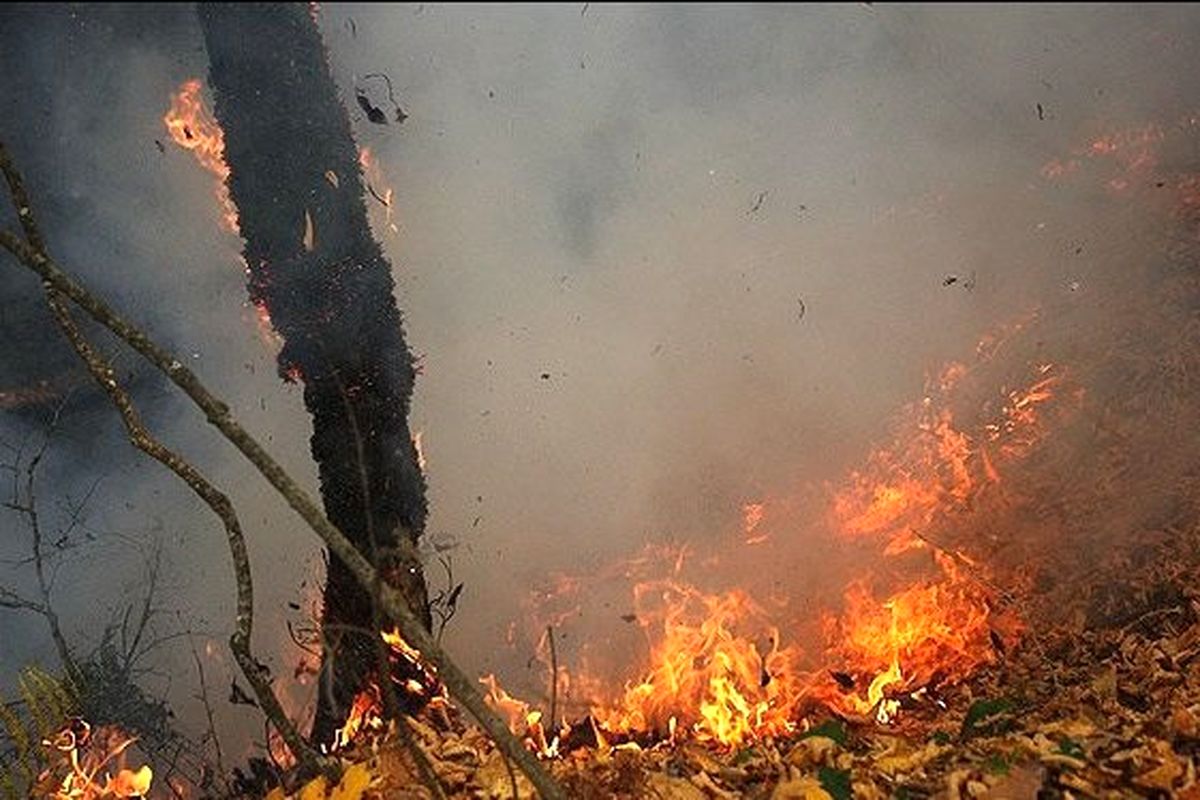 هشدار برای آتش‌سوزی در محیط‌های طبیعی