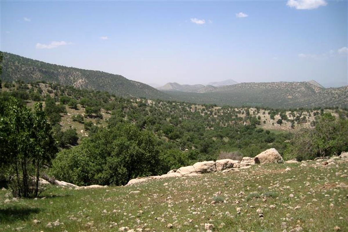 اضافه شدن منطقه گنجینه سرکن و بابا حبیب به مناطق شکارصید ممنوع لرستان
