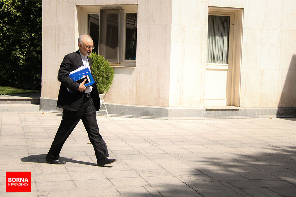 صالحی به عنوان معاون رییس جمهوری و رییس سازمان انرژی اتمی منصوب شد