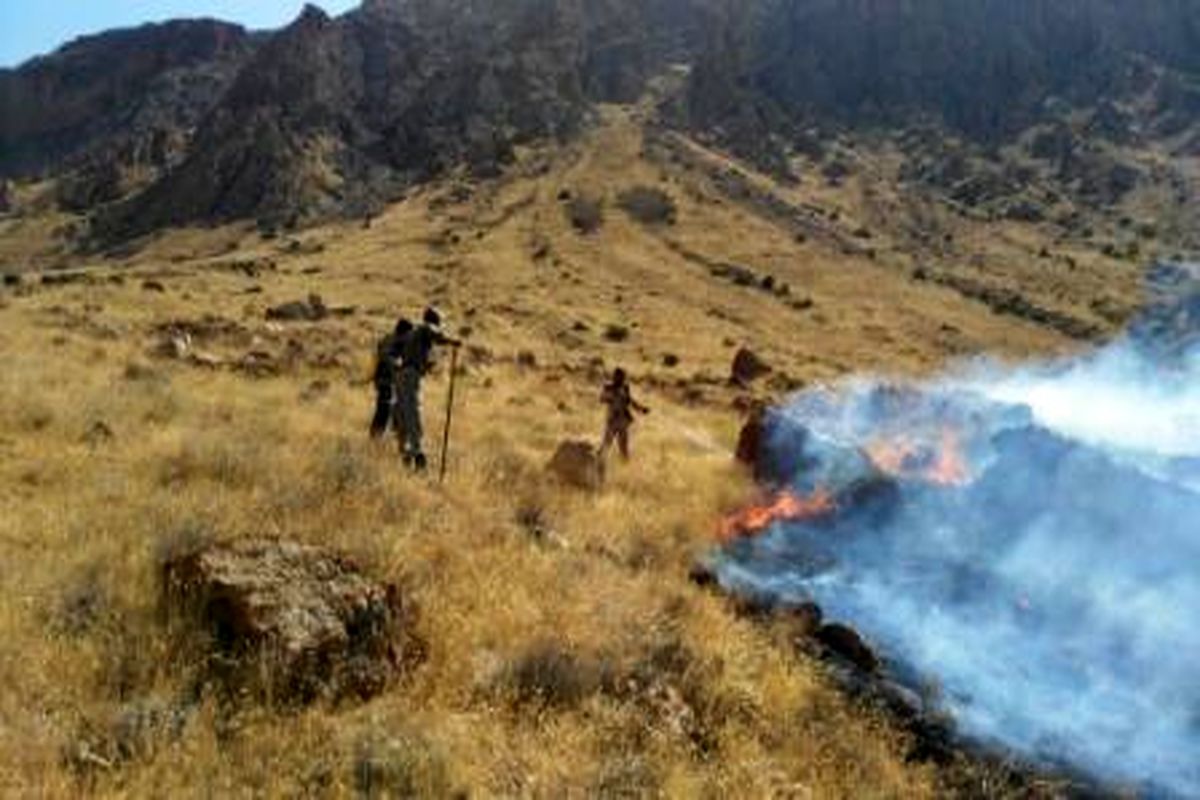 روند افزایش حریق در درختان و بیشه‌های ملایر