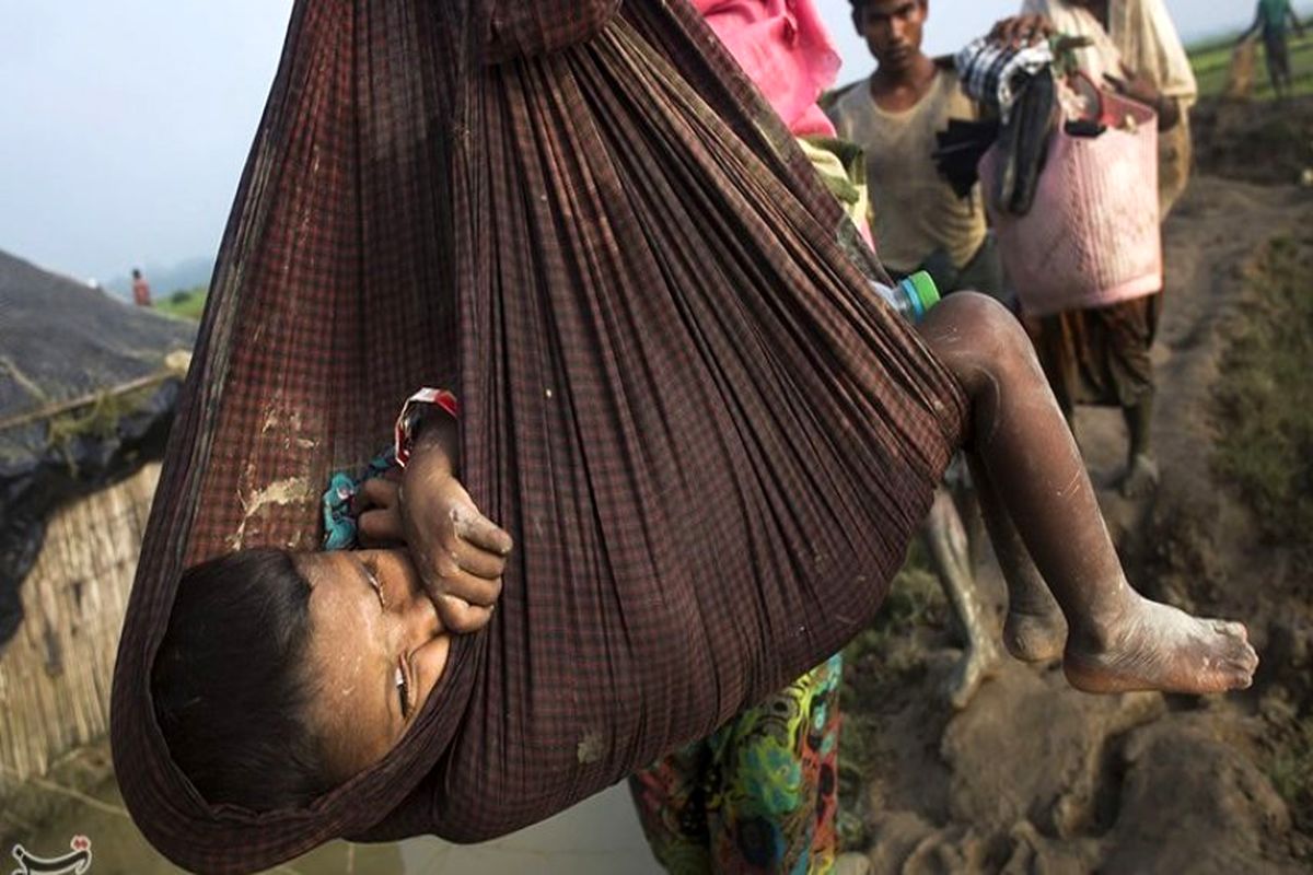 نامه برندگان نوبل برای مداخله فوری در بحران روهینگیا