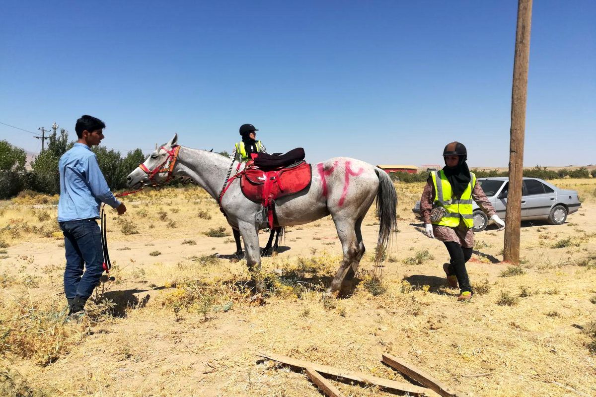 برگزاری سومین دوره مسابقات سوارکاری استقامت لرستان
