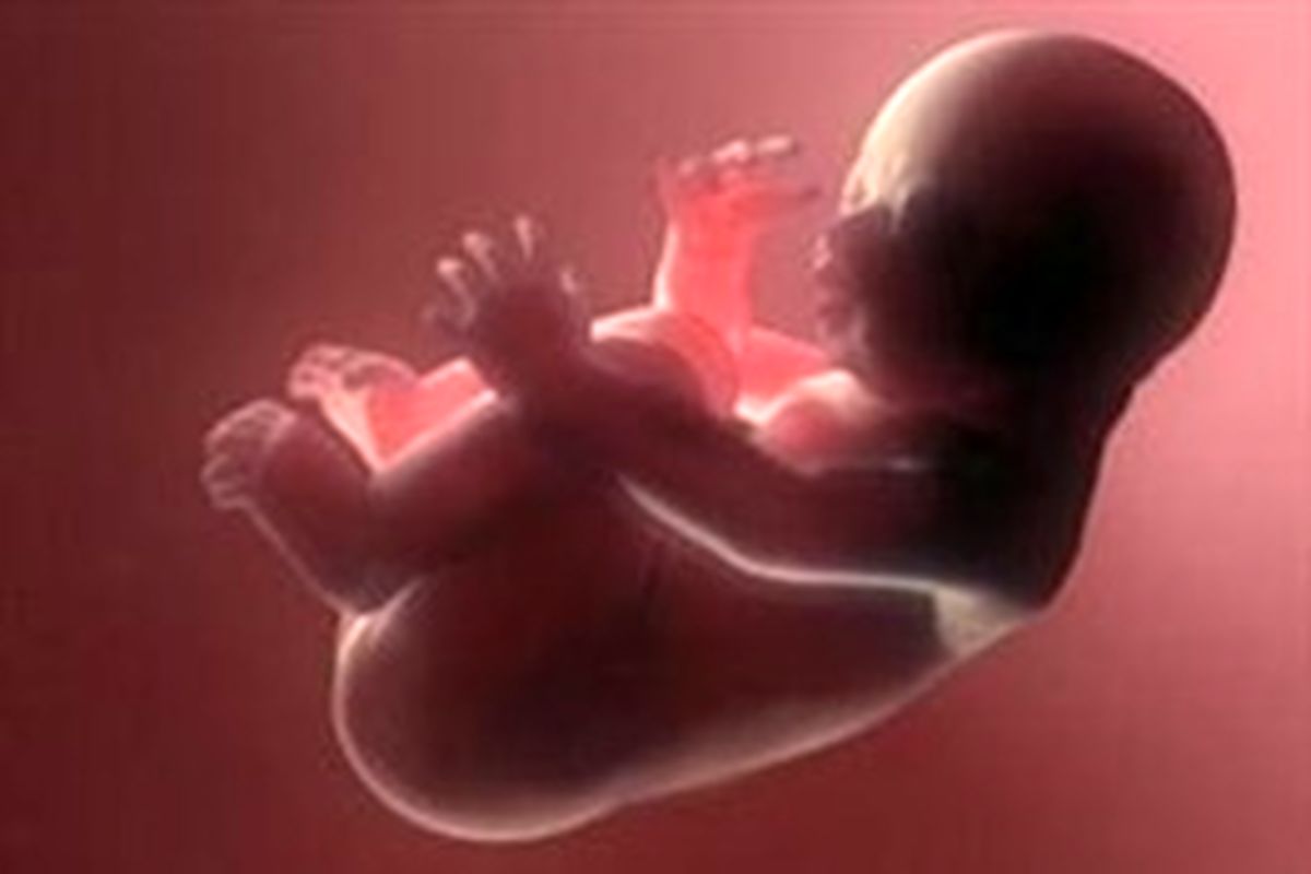 آمارهای تکان‌دهنده از آخرین وضعیت سقط جنین در کشور