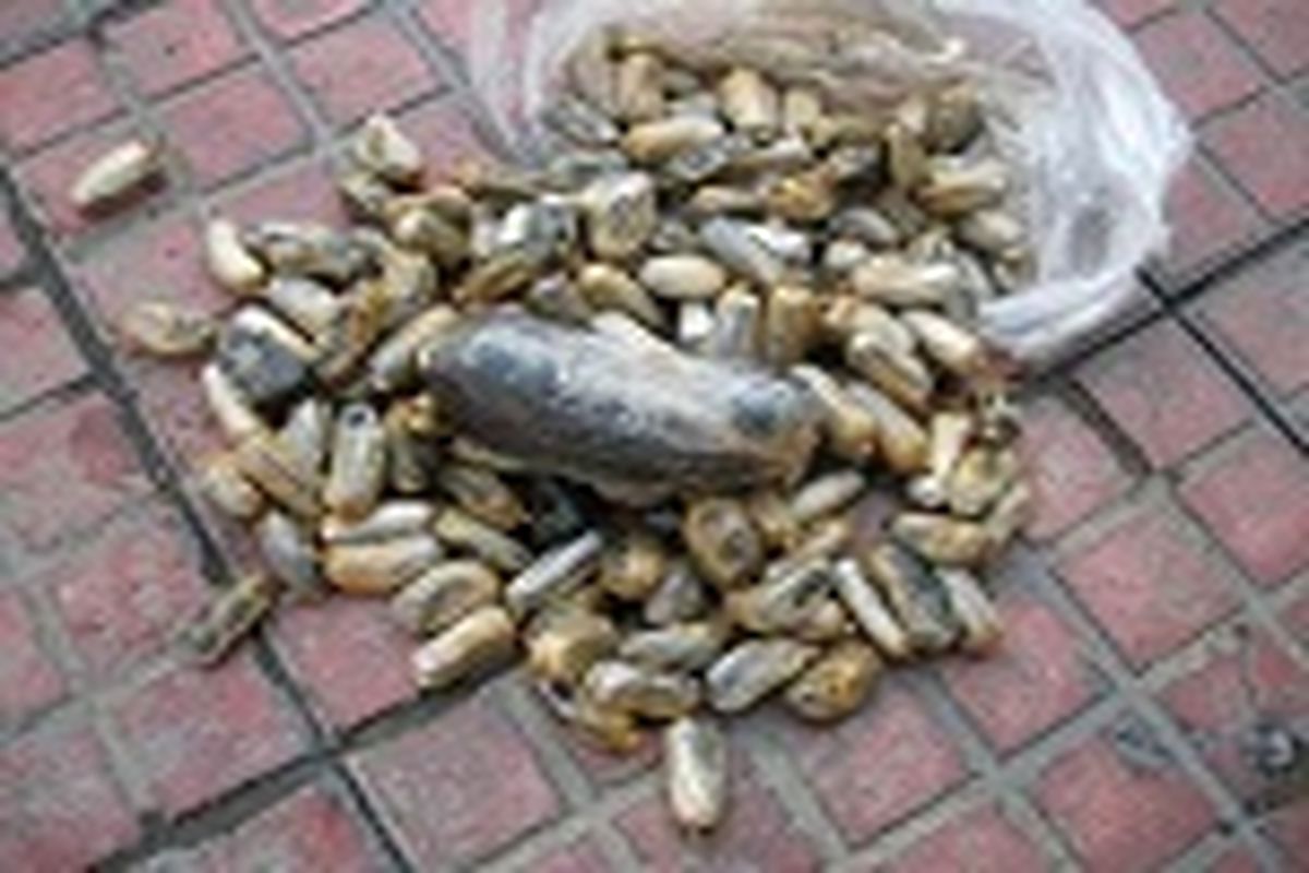 کشف ۱۰۶ کیلو مواد و دستگیری ۲ قاچاقچی تحت تعقیب در بم