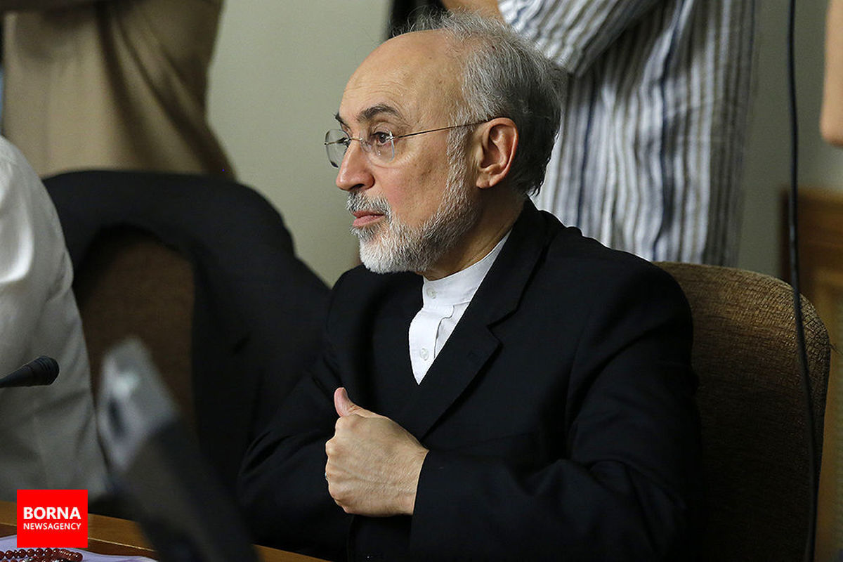 معاون رئیس جمهوری به ایران بازگشت