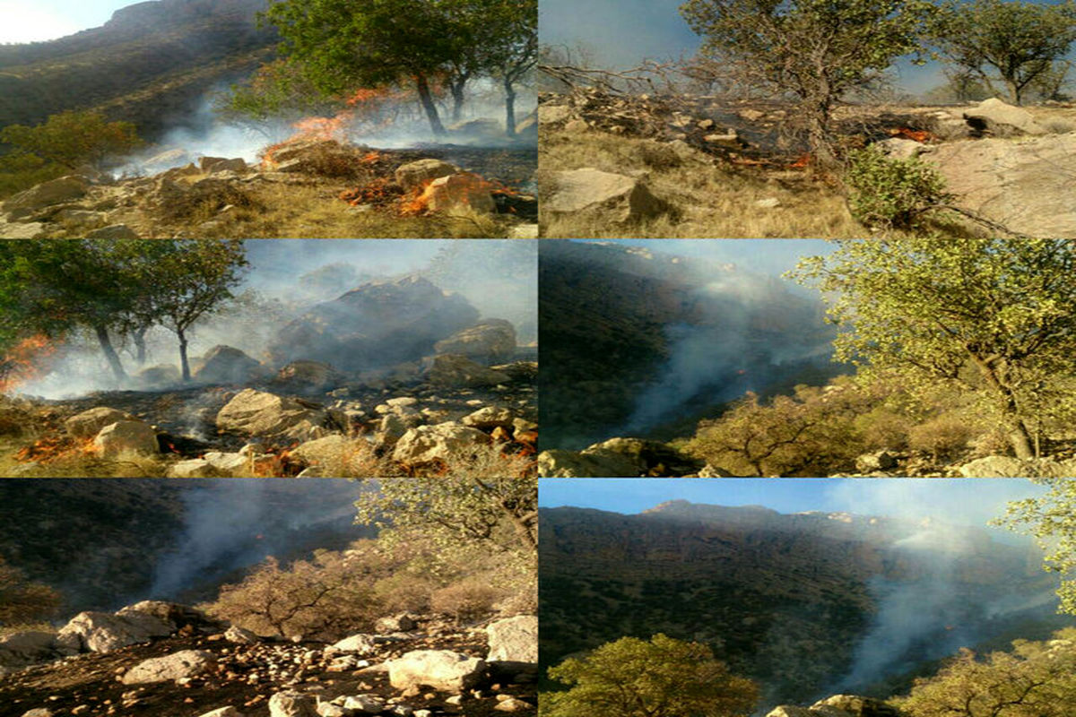 مهار شدن آتش سوزی جنگلهای کوه خامی پس از یک شبانه روز
