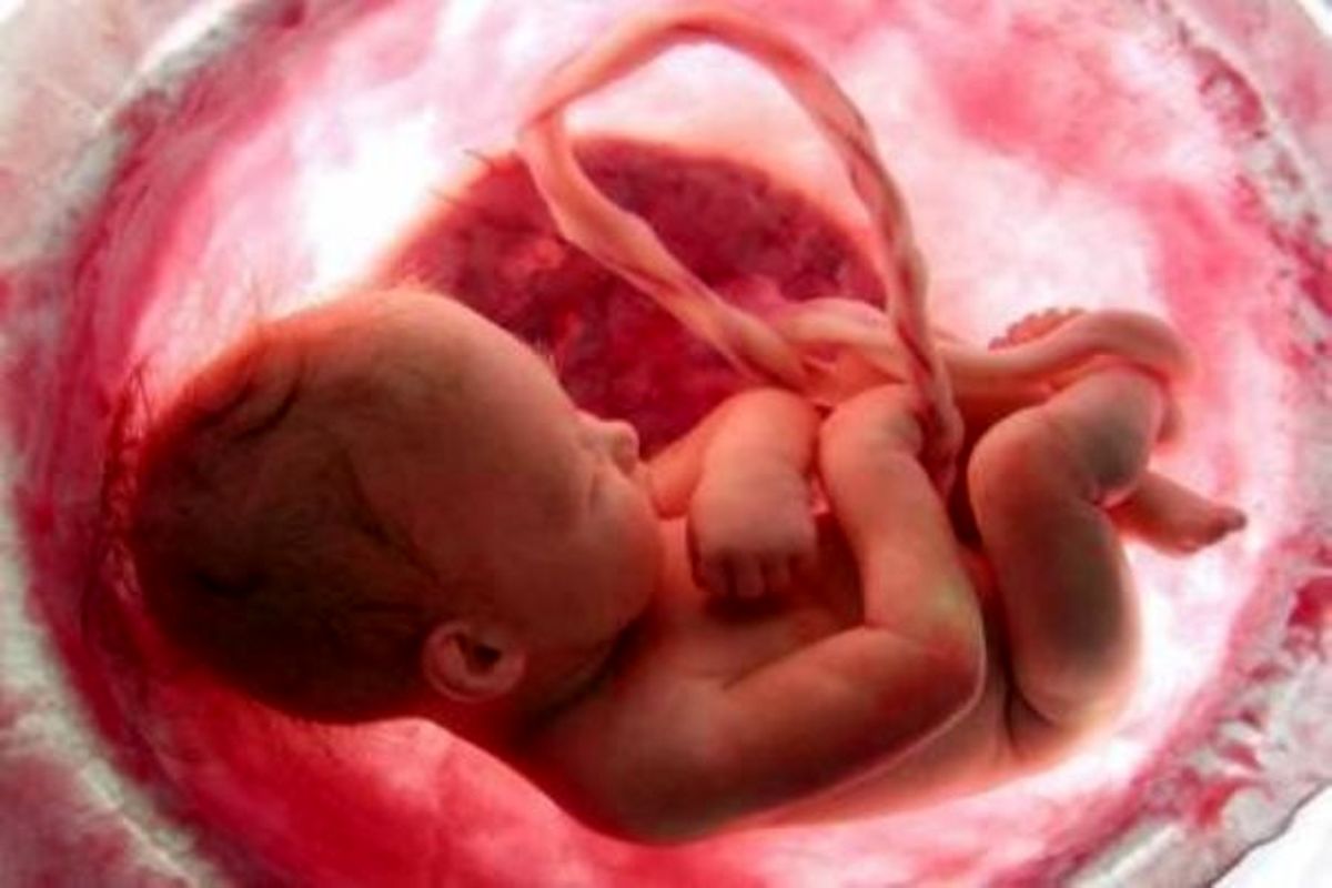 باورهایی درباره سقط جنین