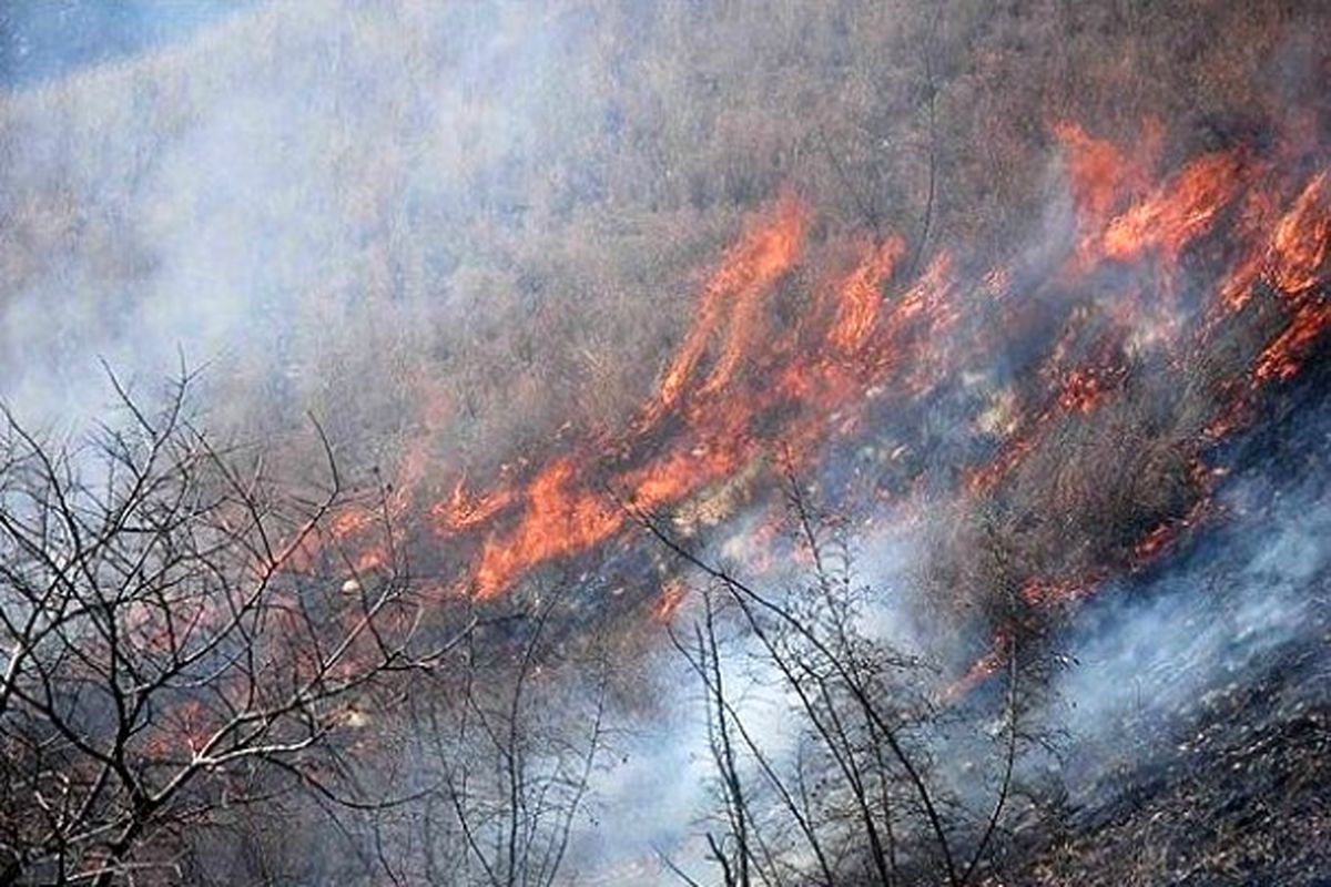 آتش سوزی حدود ۵ هکتار جنگل در گیلان