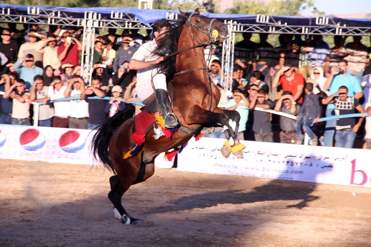 برگزاری سومین دوره مسابقات کشوری اسب عرب در شوشتر