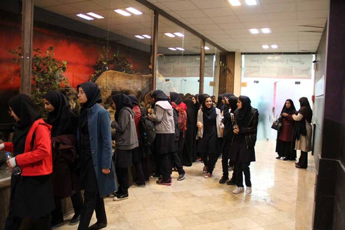 بازدید دانش آموزان دبیرستان شاهد نرگس از موزه تنوع زیستی استان قزوین