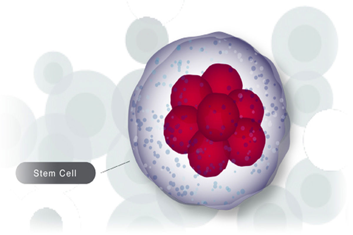 سلولهای بالغ هم در ایجاد سرطان نقش دارند