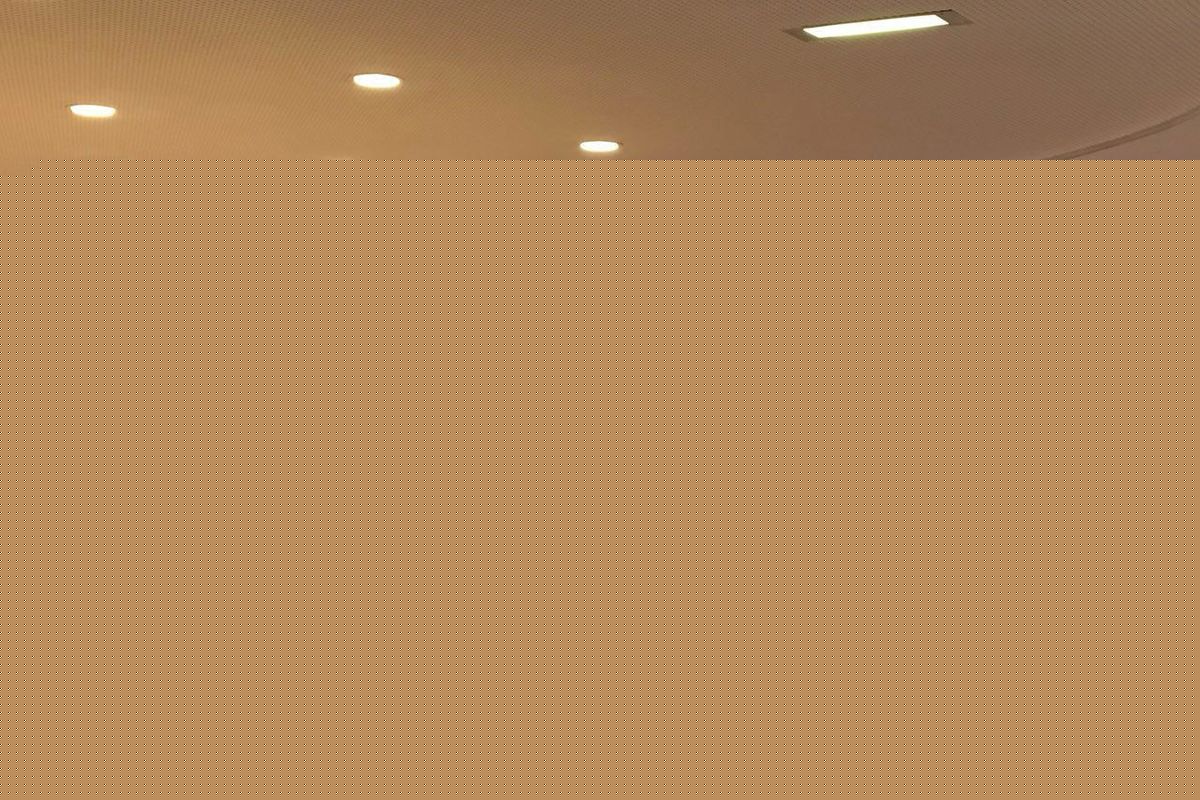 پیشنهاد سرمایه گذاران فرانسوی، خارج از تشریفات اداری بررسی می شود