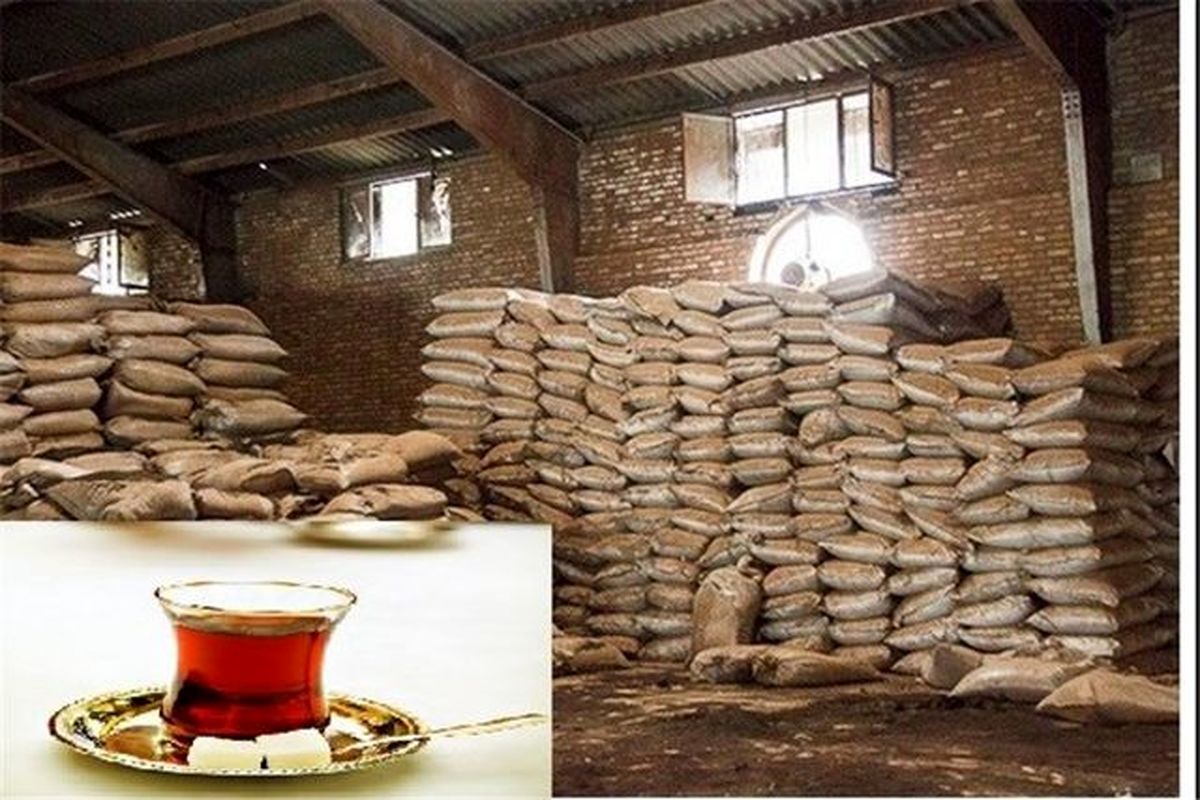۶۰ تن چای قاچاق و غیر بهداشتی در لنگرود کشف شد