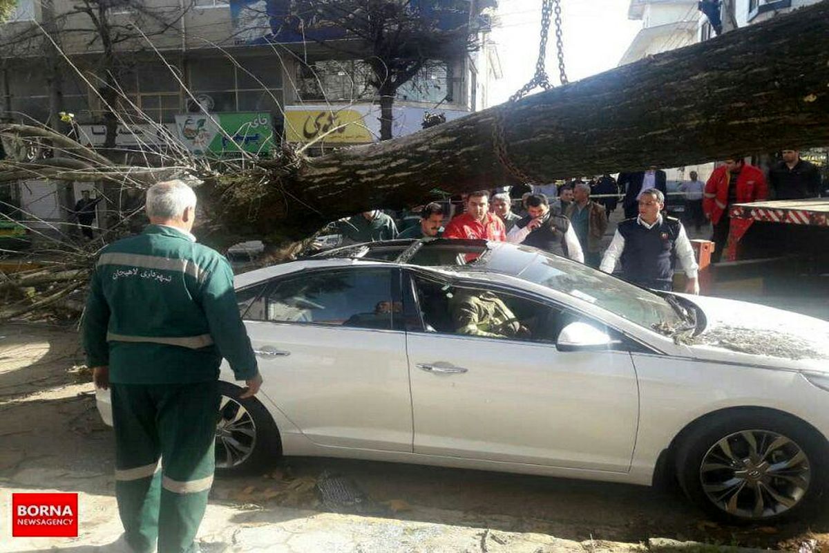 سقوط درخت بر روی خودرو در لاهیجان بر اثر وزش باد شدید/ حضور شهردار لاهیجان در صحنه برای اطلاع از موضوع