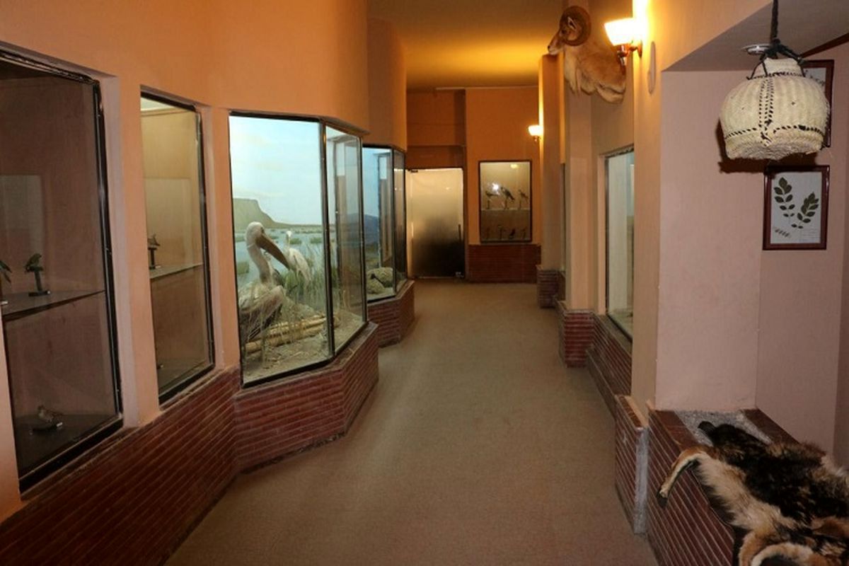 بازدید از موزه تاریخ حیات وحش سیستان وبلوچستان رایگان شد