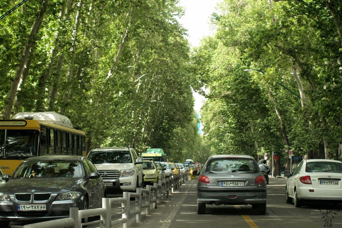 کاشت ۱۱۰۰ اصله درخت چنار سالم و قوی در خیابان ولیعصر(عج)