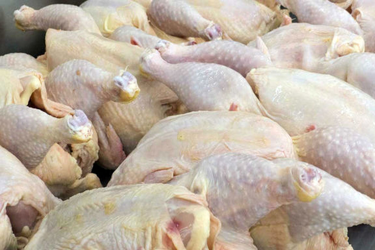 قیمت هر کیلو گوشت مرغ ۱۱۵۰۰ تومان است/ گران‌فروشان تحت پیگرد قرار می‌گیرند