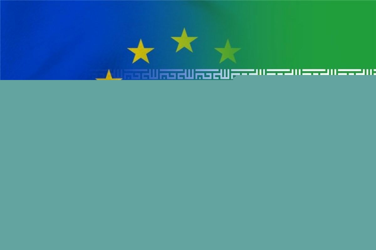 اتحادیه اروپا رایزنی سیاسی با ایران را سازنده خواند