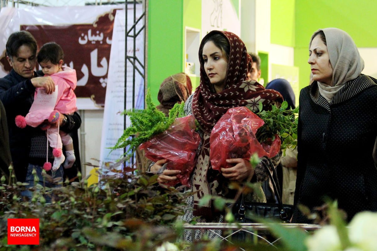 هفدهمین نمایشگاه گل وگیاه در مشهد افتتاح شد