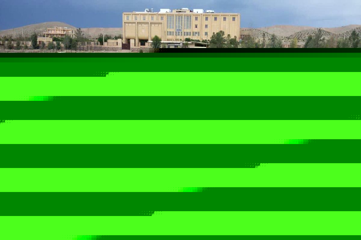 قطع درختان در کویر پردیسان قم/عکس