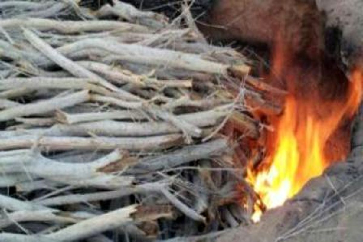۱۰۰ کیلو  زغال چوب قاچاق در شهرستان بندرعباس کشف شد