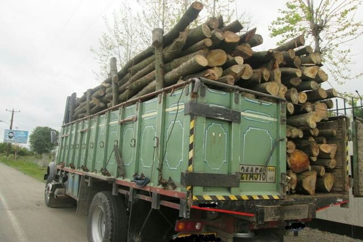 کشف بیش از ۱۰ تن چوب قاچاق در املش