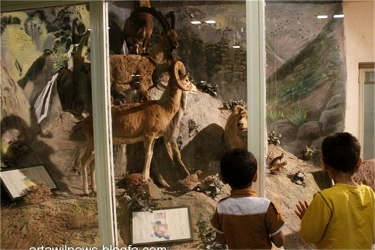 بازدید رایگان از موزه تاریخ طبیعی لرستان در هفته محیط زیست