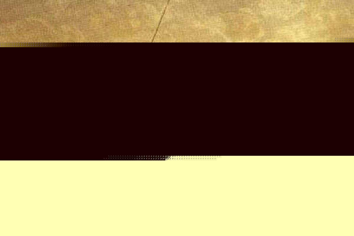 سهمیه ورود ایثارگران به دانشگاه‌ها به ۳۰ درصد افزایش یافت