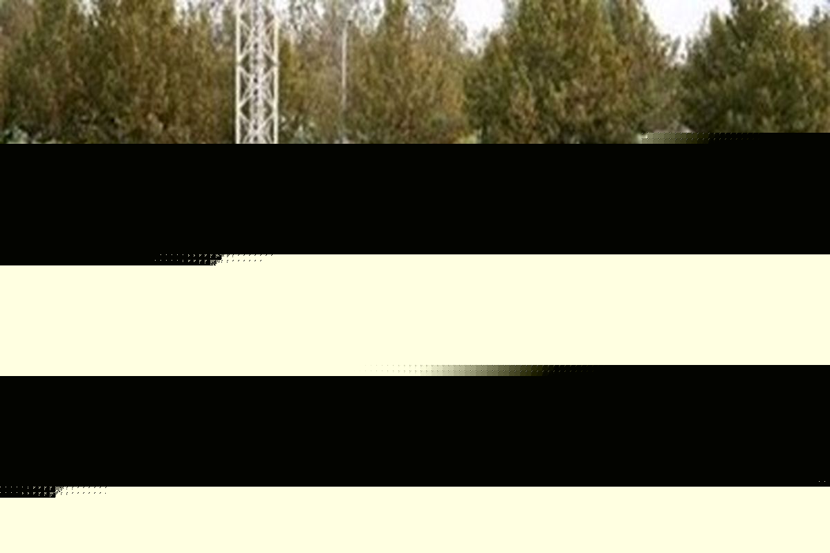 حضور نونهال گلستانی در اردوی آماده سازی تیم ملی زیر ۱۴ سال