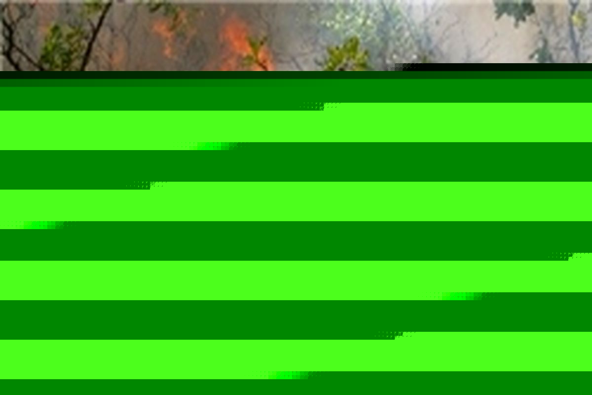 آتش در پارک ملی گلستان مهار شد