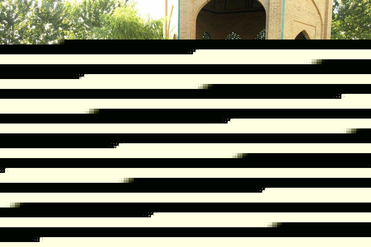 درخشش دختران محمدیه در لیگ مناطق تکواندو