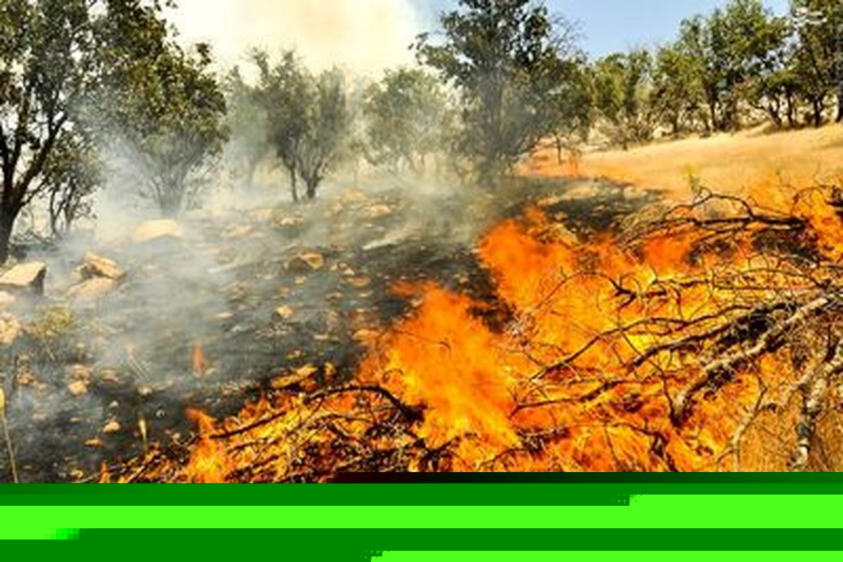 حفظ مراتع و جنگل ها به عنوان یک میراث ملی و پر اهمیت است