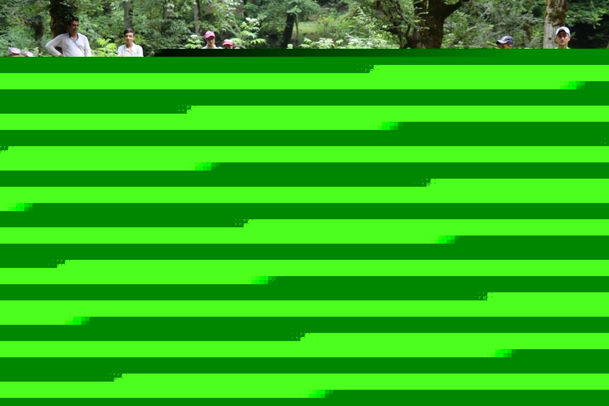 حمایت از ورزش‌های همگانی در راستای توسعه ورزش‌های قهرمانی است