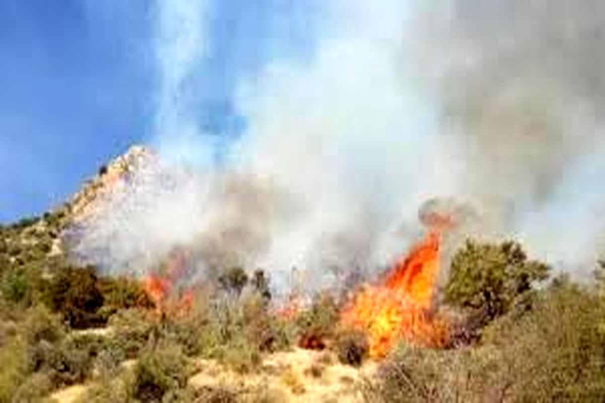 اعزام بالگردهای امدادی برای مهار آتش‌سوزی در  فیروزآباد