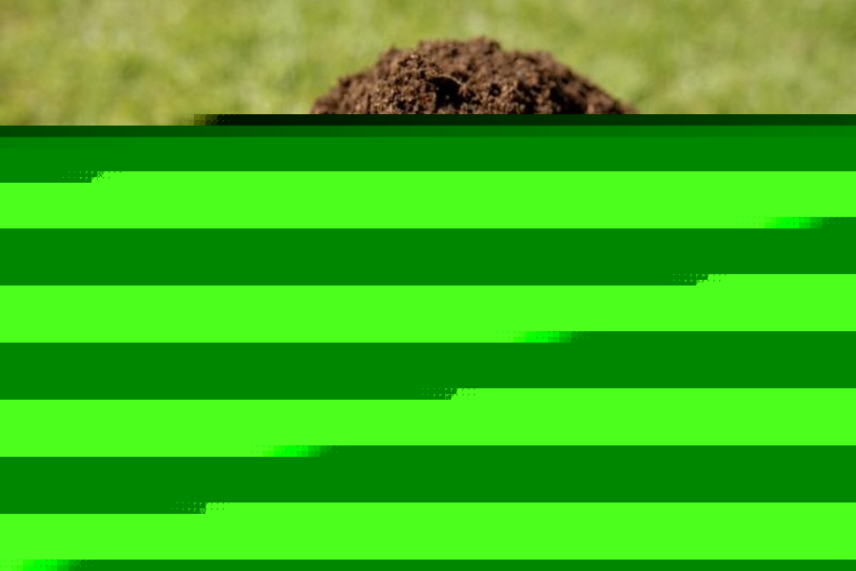 کلیات لایحه حفاظت از خاک به تصویب رسید