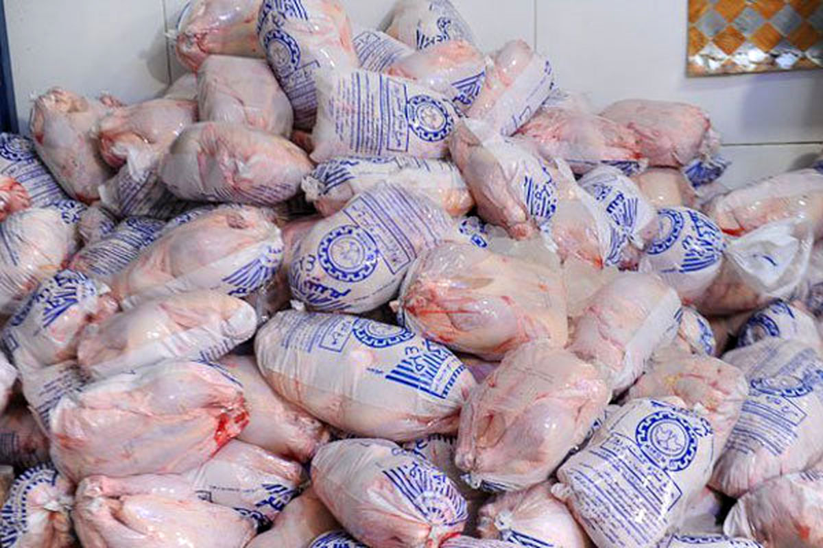 ۱۳۳۰ تن مرغ منجمد در استان توزیع شد