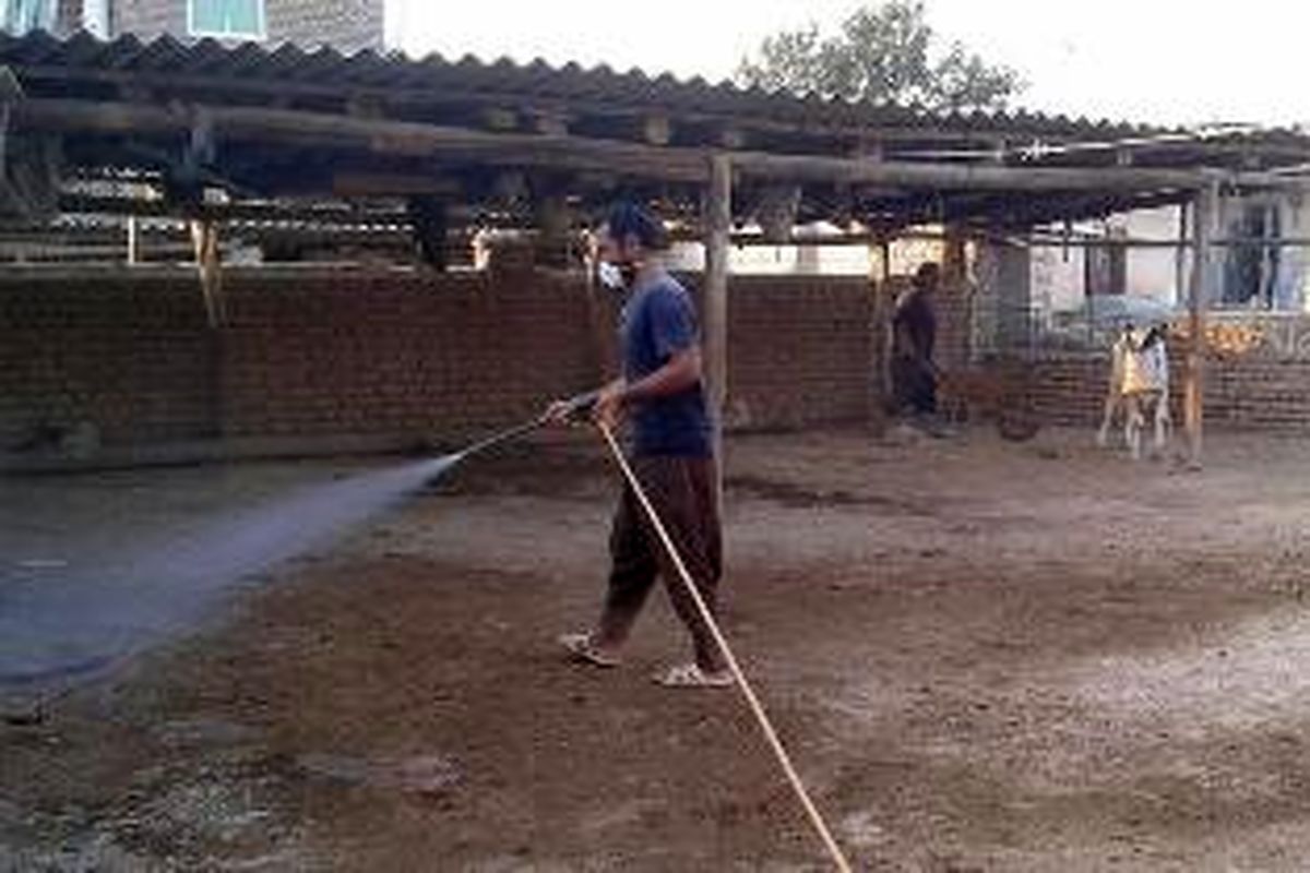 اجرای عملیات سم‌پاشی دام‌ها و جایگاه نگهداری دام در شهرستان شادگان