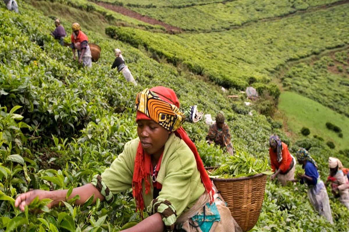 روآندا؛ گذر از آستانه فروپاشی تا حرکت به سوی رشد روابط اقتصادی